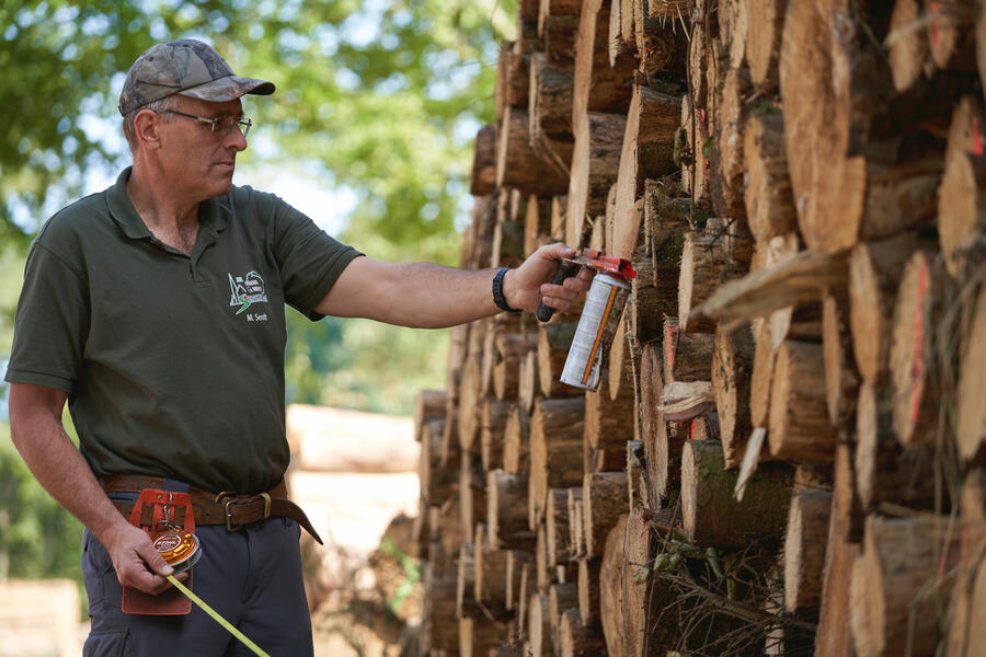 Ein städtischer Mitarbeiter nimmt die Holzkennzeichnung im Bürgerwald vor