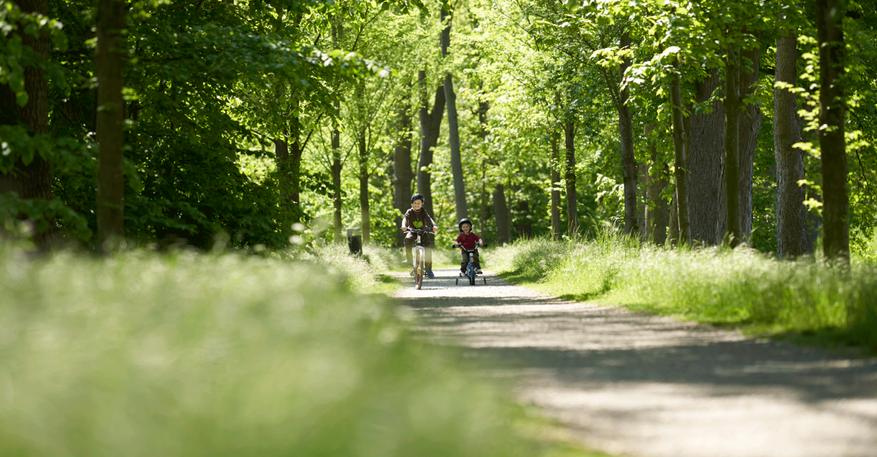 Brakel