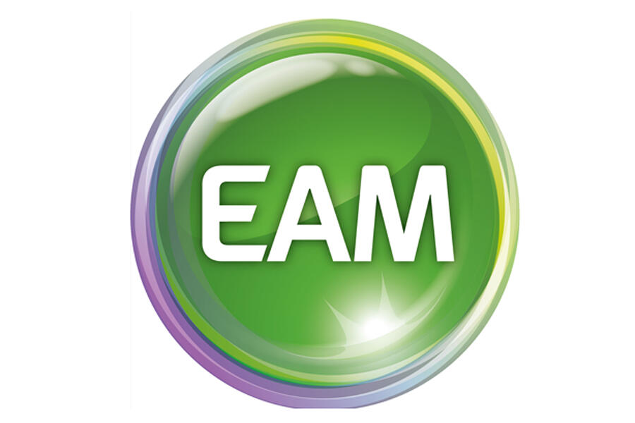 Logo der EAM