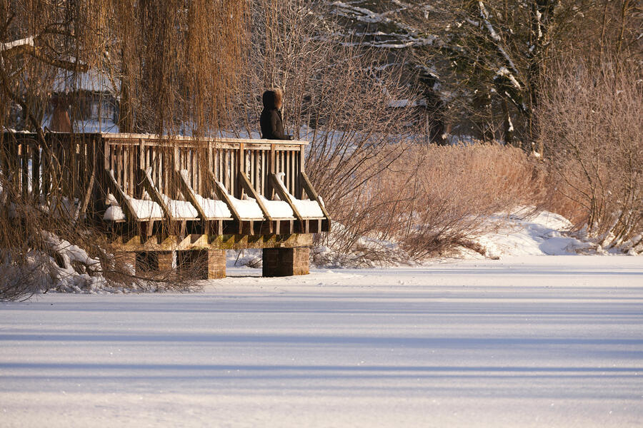 Steg am Teich des sogenannten Kaiserbrunnens im Winter