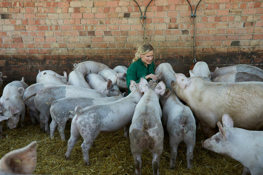 Brakeler Landwirtin mit ihren Bio-Schweinen