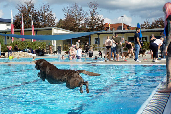 Impressionen vom Hundeschwimmen 2023
