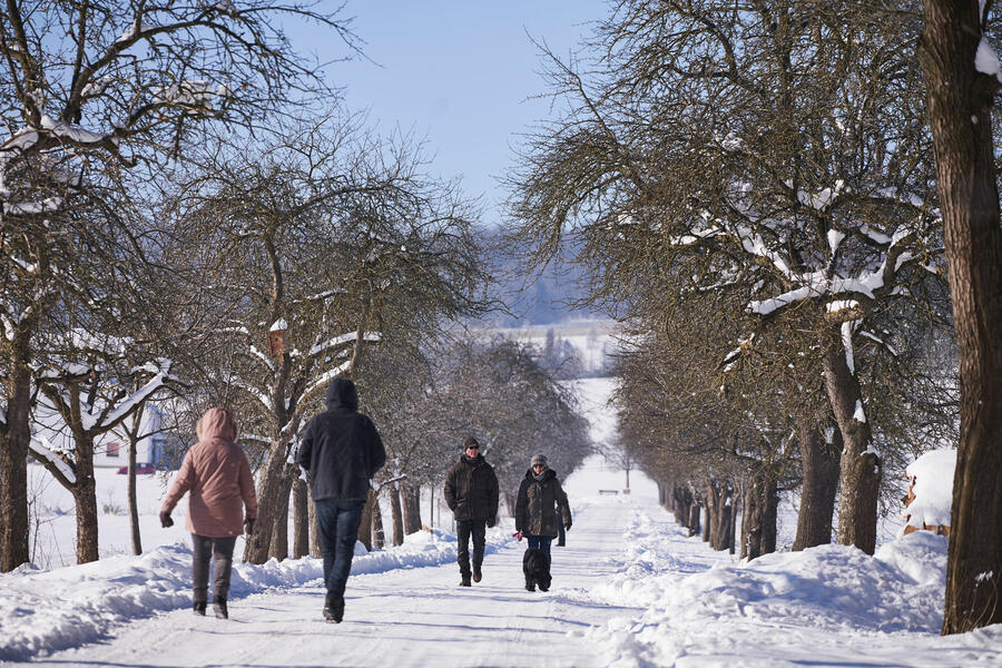 Spaziergänger in schneebedeckter Landschaft bei Brakel