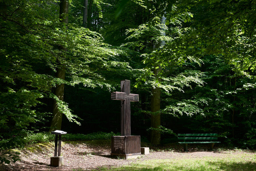 Zu sehen ist das Kreuz, das am Jakobsweg bei Bökendorf am Rande des Waldes steht