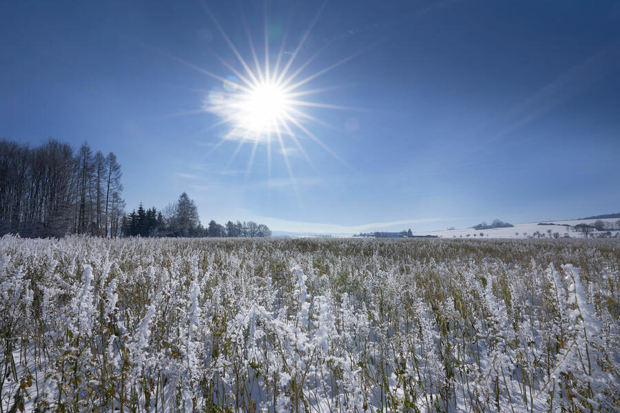 Strahlender Sonnenschein über einem Brakeler Feld im kalten Winter