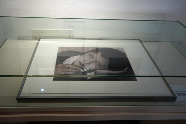 Blick in die Ausstellung "Kosmos des Lebens. Die Fotografin Annelise Kretschmer", die ab dem 23. M&auml;rz in Brakel zu sehen ist.