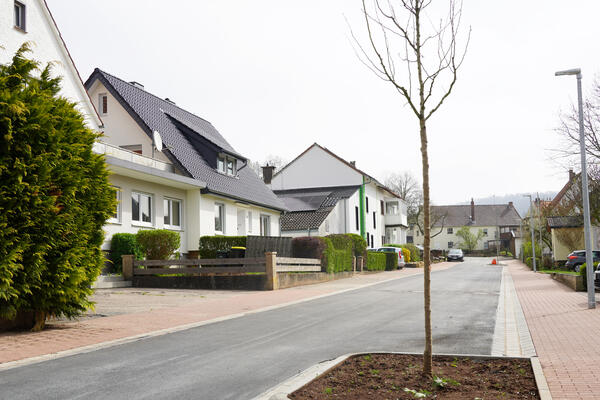 Zwei neue Baumpflanzungen konnten im Rahmen des Stra&szlig;enausbaus erfolgen.