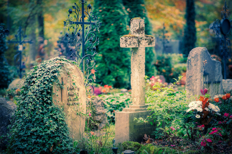 Blick auf einen Friedhof mit bepflanzten Gräbern